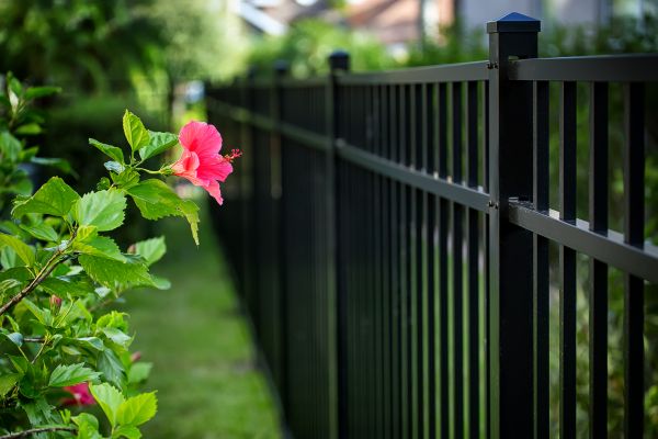Aluminum Fence Resurfacing