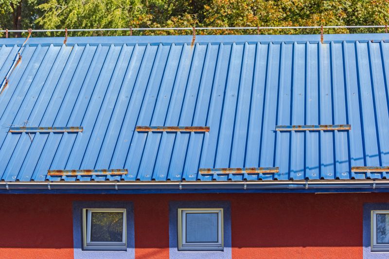 Metal Roof Painting